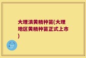 大理滇黄精种苗(大理地区黄精种苗正式上市)