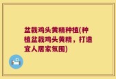盆栽鸡头黄精种植(种植盆栽鸡头黄精，打造宜人居家氛围)