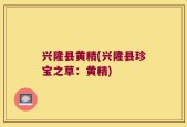 兴隆县黄精(兴隆县珍宝之草：黄精)