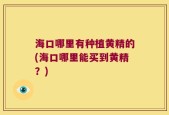 海口哪里有种植黄精的(海口哪里能买到黄精？)