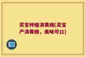 灵宝种植滇黄精(灵宝产滇黄精，美味可口)