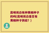 昆明周边有种黄精种子的吗(昆明周边是否有黄精种子供应？)