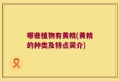 哪些植物有黄精(黄精的种类及特点简介)