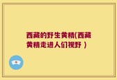 西藏的野生黄精(西藏黄精走进人们视野 )