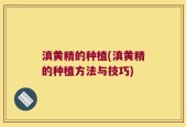 滇黄精的种植(滇黄精的种植方法与技巧)