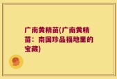广南黄精苗(广南黄精苗：南国珍品福地里的宝藏)