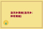 洛河乡黄精(洛河乡：神奇黄精)