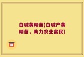 白城黄精苗(白城产黄精苗，助力农业富民)