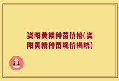 资阳黄精种苗价格(资阳黄精种苗现价揭晓)