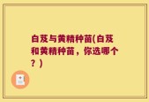白芨与黄精种苗(白芨和黄精种苗，你选哪个？)