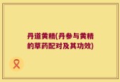 丹道黄精(丹参与黄精的草药配对及其功效)