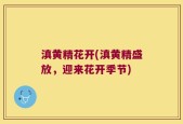 滇黄精花开(滇黄精盛放，迎来花开季节)
