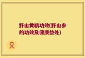 野山黄精功效(野山参的功效及健康益处)