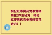 枸杞红枣黄芪党参黄精菊花(养生秘方：枸杞红枣黄芪党参黄精菊花合力！)