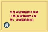 怎样采摘黄精种子视频下载(采摘黄精种子视频：详细操作指南)