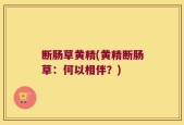 断肠草黄精(黄精断肠草：何以相伴？)