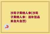 沙苑子黄精人参(沙苑子黄精人参：滋补佳品来自大自然)