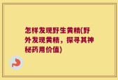 怎样发现野生黄精(野外发现黄精，探寻其神秘药用价值)