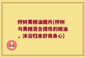 桦树黄精油图片(桦树与黄精混合提炼的精油，沐浴归来舒爽身心)