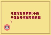 儿童挖野生黄精(小孩子在野外挖掘珍稀黄精)
