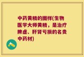 中药黄精的图样(生物医学大师黄精，是治疗脾虚、肝肾亏损的名贵中药材)