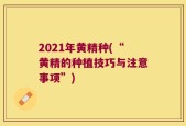 2021年黄精种(“黄精的种植技巧与注意事项”)