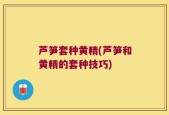 芦笋套种黄精(芦笋和黄精的套种技巧)