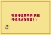 哪里种植黄精的(黄精种植地点在哪里？)
