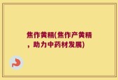 焦作黄精(焦作产黄精，助力中药材发展)