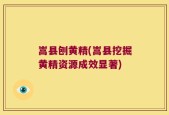 嵩县刨黄精(嵩县挖掘黄精资源成效显著)
