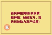 新民种植黄精(新民黄精种植：秘藏古方，现代科技助力高产优质)