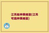 江苏能种黄精苗(江苏可栽种黄精苗)