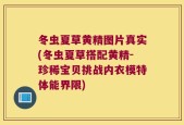 冬虫夏草黄精图片真实(冬虫夏草搭配黄精-珍稀宝贝挑战内衣模特体能界限)