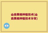 山南黄精种植技术(山南黄精种植技术分享)