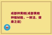 成都种黄精(成都黄精种植秘籍，一鲜活、健康之道)