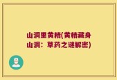 山洞里黄精(黄精藏身山洞：草药之谜解密)