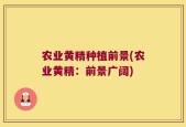 农业黄精种植前景(农业黄精：前景广阔)