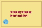 滇滇黄精(滇滇黄精：神奇的云南草药)