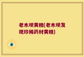 老木坝黄精(老木坝发现珍稀药材黄精)