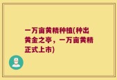 一万亩黄精种植(种出黄金之亭，一万亩黄精正式上市)