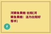 河鲫鱼黄精 壮阳(河鲫鱼黄精：活力壮阳好帮手)