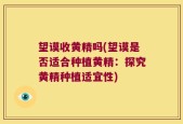 望谟收黄精吗(望谟是否适合种植黄精：探究黄精种植适宜性)
