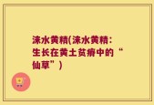 涞水黄精(涞水黄精：生长在黄土贫瘠中的“仙草”)