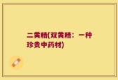 二黄精(双黄精：一种珍贵中药材)