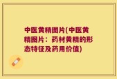 中医黄精图片(中医黄精图片：药材黄精的形态特征及药用价值)