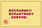 重庆市秀山黄精苗子(重庆秀山出产黄精苗子，适宜春季种植)