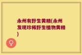 永州有野生黄精(永州发现珍稀野生植物黄精)