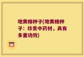 地黄精种子(地黄精种子：珍贵中药材，具有多重功效)