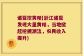 诸暨挖黄精(浙江诸暨发现大量黄精，当地掀起挖掘潮流，农民收入提升)
