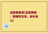 岳西黄精茶(岳西黄精：新鲜野生茶，滋补身心)
